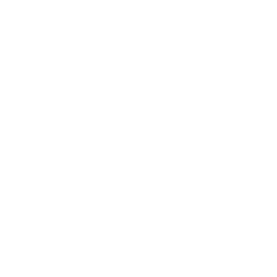 Website Design-icon