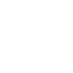 SEO-Optimized Websites_icon