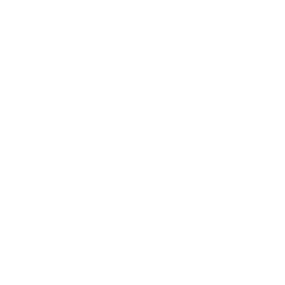 consultation-icon