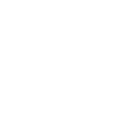 web-development-icon